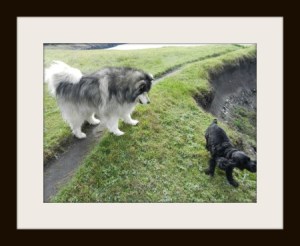 "Oops, romped myself right off that trail! Meant to do that..."