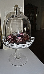 (Courtesy Lynne Kelly Author, WANA commons)