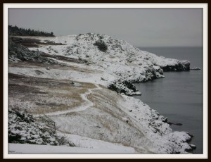 "OK...can you let me off the leash NOW?"