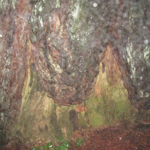 Sorry, I'm not much of a photographer...