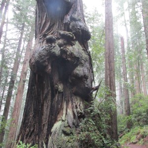 But at least you know I didn't just pull these pics off the internet!