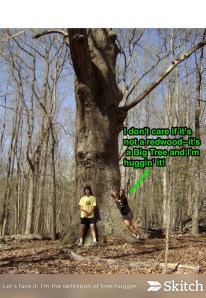 ...and when I get to North Carolina, I'll hug an oak! (Especially if the Tarheels lose)