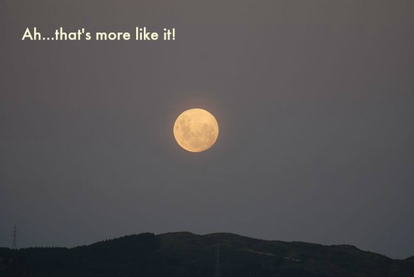 (orig. image courtesy Wikimedia)