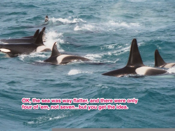 (Orig. image courtesy Wikimedia)