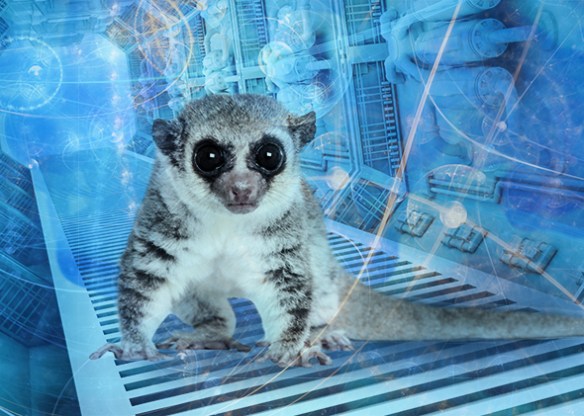 (Courtesy Slate.com)