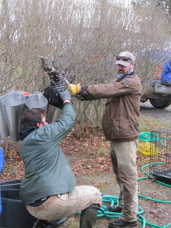 ...and of course, someone has to hold the feet. I imagine both men said a little prayer as they were doing this. I think I was.