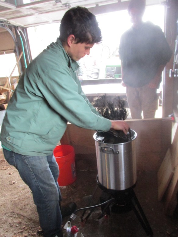 Still a bird at this point, albeit a dead one