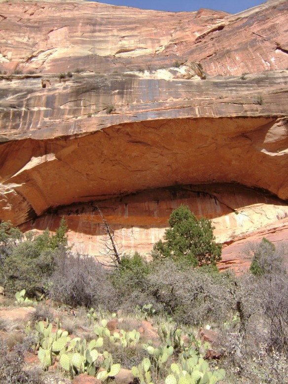 Sorry, Zion, not this year!