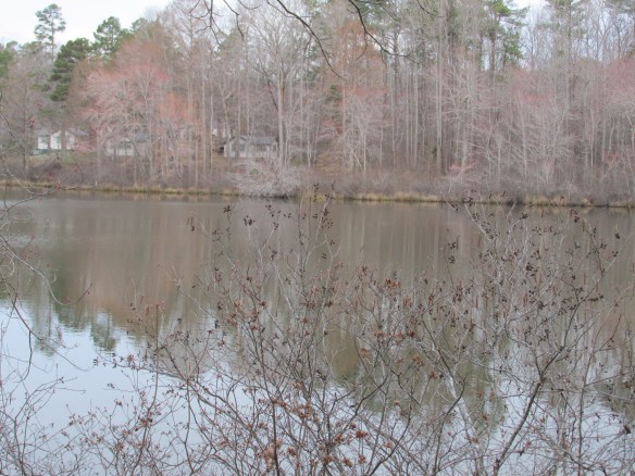 Our cabin, seen from across the lake