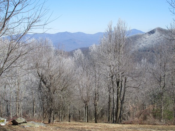 "Goin' back to Carolina, bless my soul, bless my soul..."