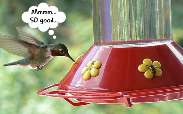 (orig. image courtesy Wikimedia)