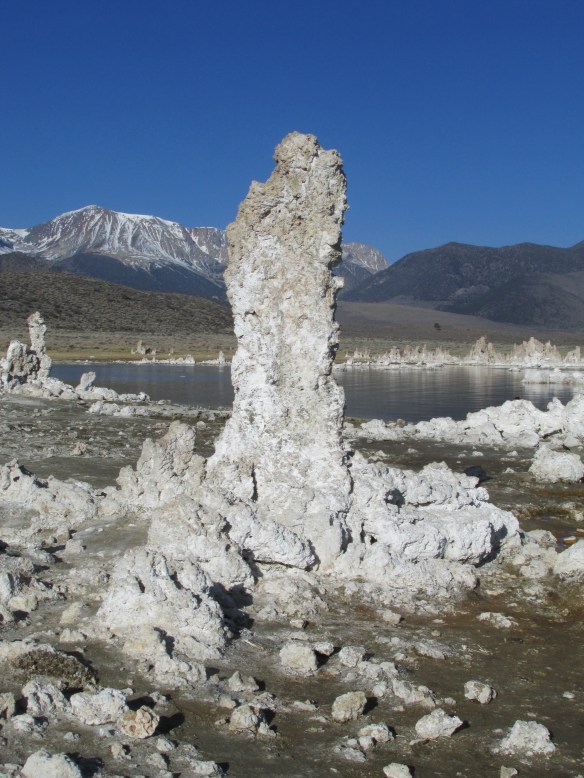 The shell of an ancient freshwater spring into the saline lake. Really.