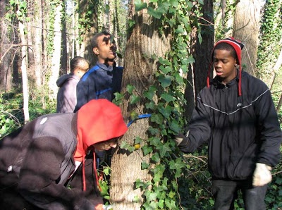 Upper School students removing Ivy from a tree at Duke Gardens