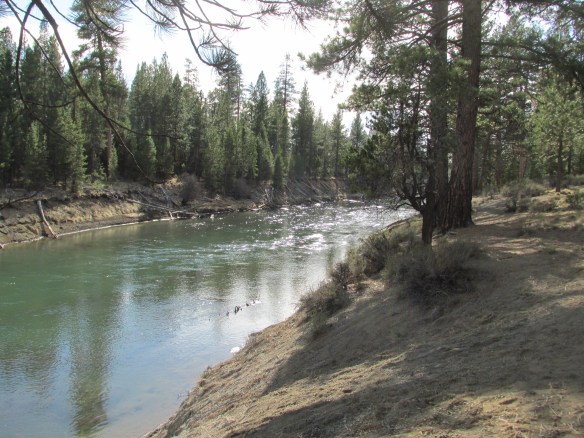 Would've loved to have camped here, but it got down to 19. We're not that tough.