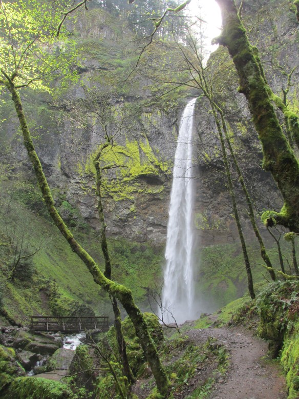 Ahhhh...welcome back to Ecotopia!