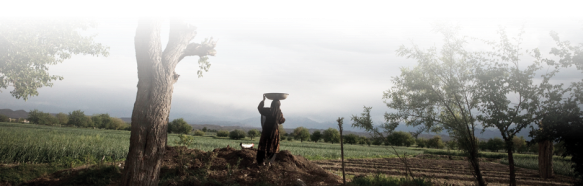 This 7 Virtues photo's caption reads, "Female Afghan farmer at harvest time"