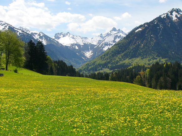 Beer in sight! (courtesy Wikimedia)