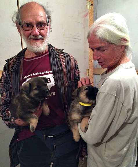 "We couldn't choose between them, so we got them both!"