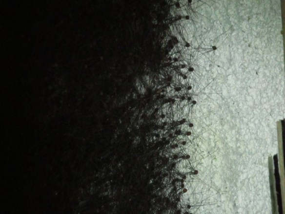 His caption: "Good luck sleeping tonight."