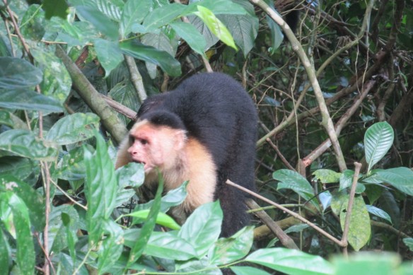 People think these guys are cute, huh? Yikes.