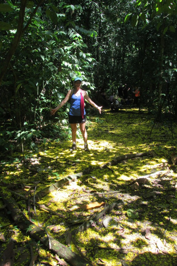 Who cares what it's called? It's so PRETTY!