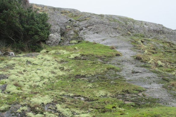 Left side: good. Right side: bad.