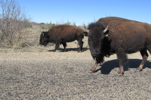 Hey, big guy. Or gal. Ma'am. Please, after you...