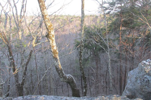 Oak Mountain, Alabama? This western scary snob says, "Pretty pretty!"