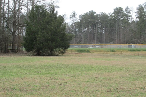 I hear the horses are learning to appreciate baseball.