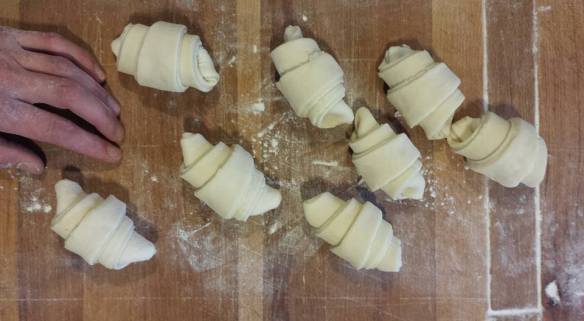 Oh, you look all sweet and innocent NOW, you little boogers...