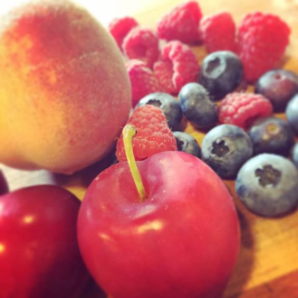 Ready to be turned into plumbles, rhuberry rasbarb squares, and...blue -peach scones...bleach scones? Maybe not. (Photo by Stephanie Smith)