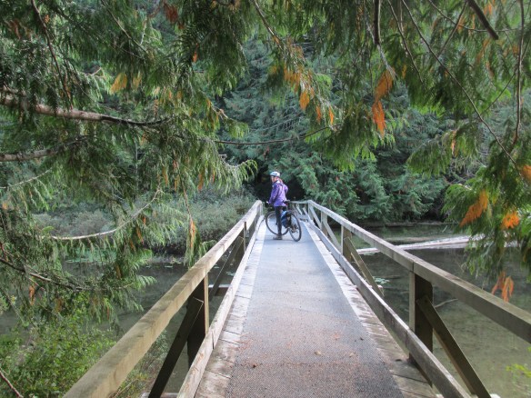 The lake has its own wee island you can ride onto!