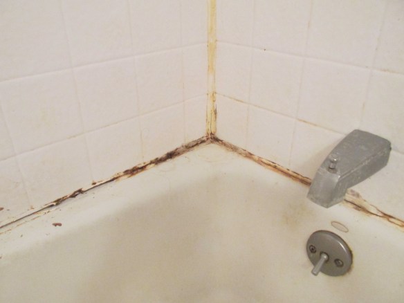 It's amazing what you can not-see when all you want is a hot shower...