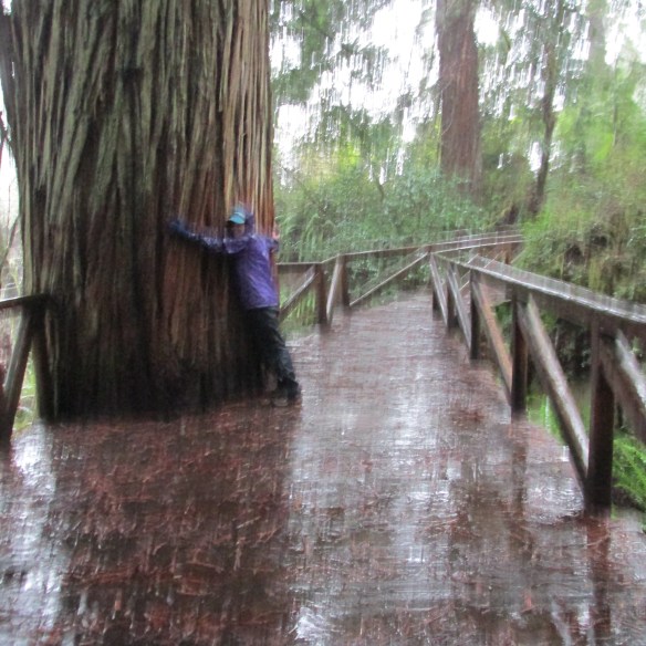 Can't do this from an airplane!