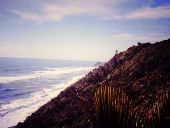 The wild west coast, near Greymouth