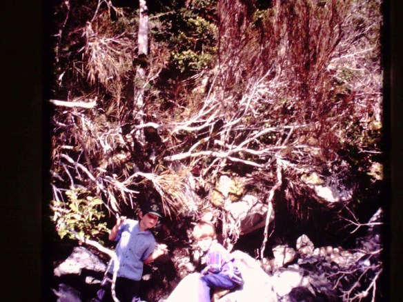 We tramped through forests...