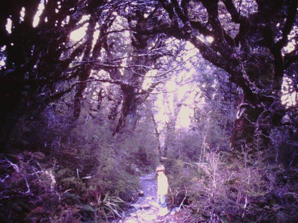 Son Two enters Mirkwood. Right?!