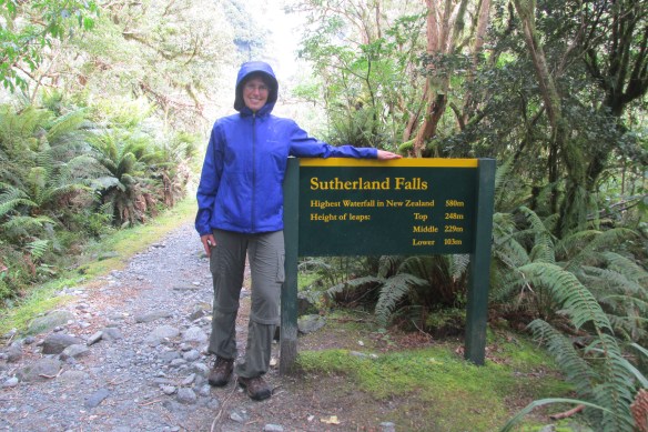 All you need to know...