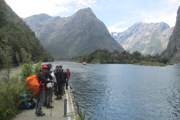 Hurry up, boat! (That's Milford Sound: suddenly, salt water!)