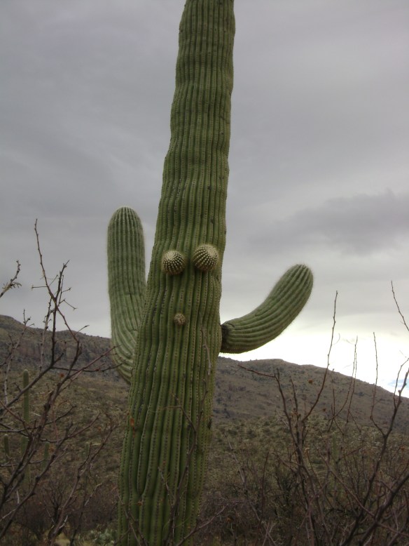 Make your own caption for this one