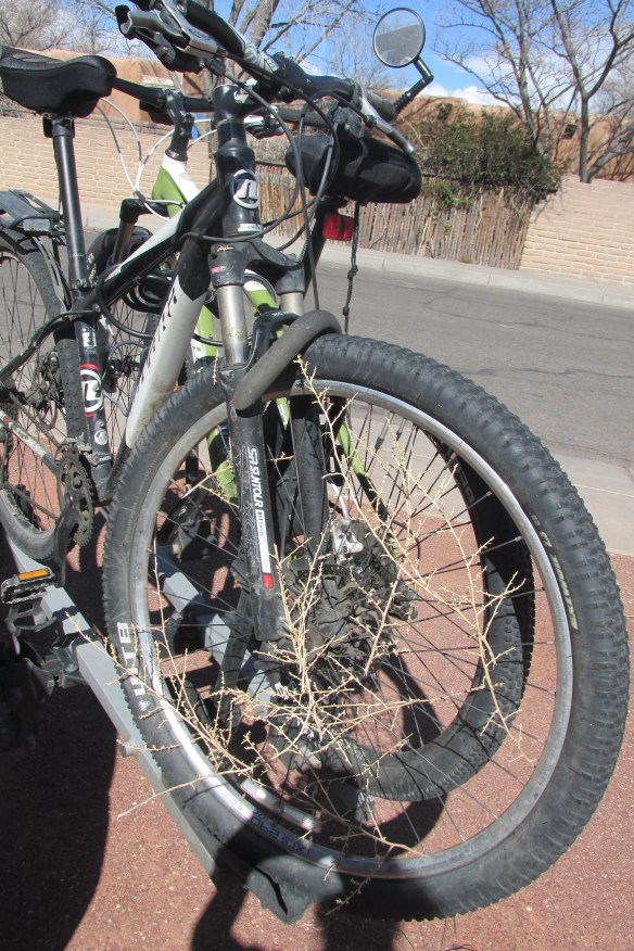 When tumbleweed meets bike. Seriously, the size of some of those things!