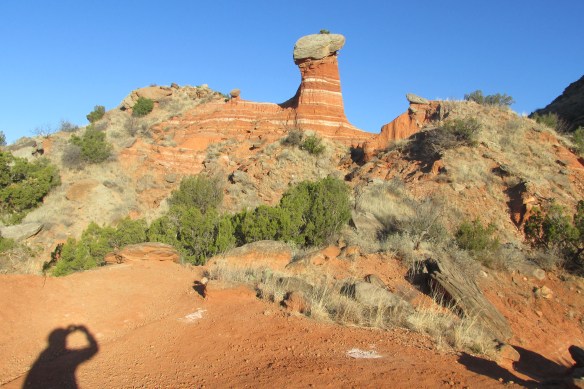 C'mon, Texas sun, do your thing!